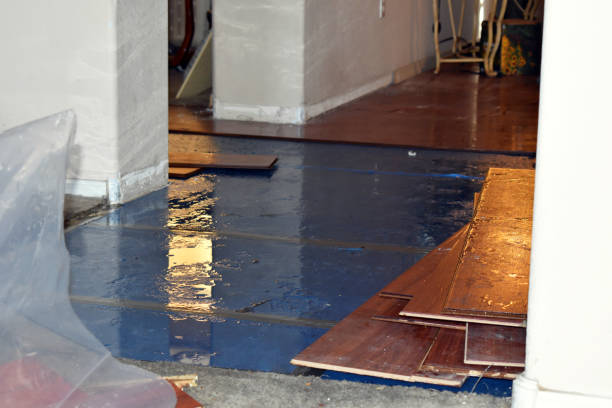 Professional Basement Flood Cleanup technician working in Verplanck, NY
